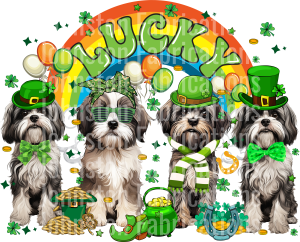 St. Patrick's SALE! Pre-Made DTF